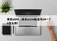 索尼a850（索尼A850配适马24一70怎么样）