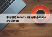 东方精选400003（东方精选400003今日估值）