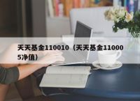 天天基金110010（天天基金110005净值）