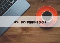 85c（85c胸围等于多少）