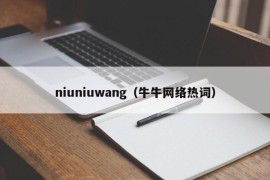 niuniuwang（牛牛网络热词）