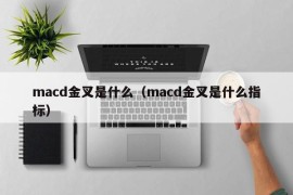 macd金叉是什么（macd金叉是什么指标）