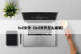 lsd文件（lsd文件怎么编辑）