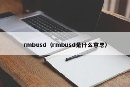 rmbusd（rmbusd是什么意思）