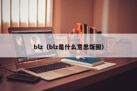 blz（blz是什么意思饭圈）