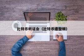 比特币听证会（比特币遭整顿）