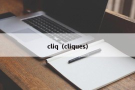 cliq（cliques）