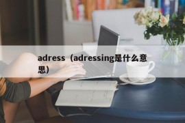 adress（adressing是什么意思）