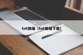 tnt微端（tnt微端下载）