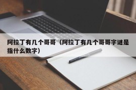 阿拉丁有几个哥哥（阿拉丁有几个哥哥字谜是指什么数字）