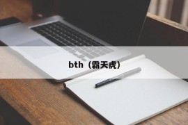 bth（霸天虎）