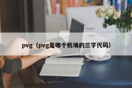 pvg（pvg是哪个机场的三字代码）