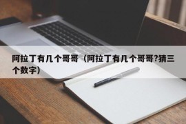 阿拉丁有几个哥哥（阿拉丁有几个哥哥?猜三个数字）