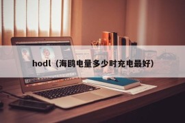 hodl（海鸥电量多少时充电最好）