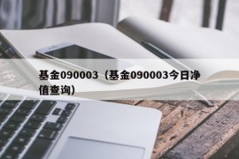 基金090003（基金090003今日净值查询）