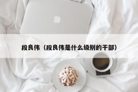 段良伟（段良伟是什么级别的干部）