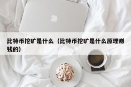 比特币挖矿是什么（比特币挖矿是什么原理赚钱的）