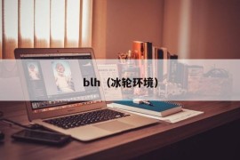 blh（冰轮环境）