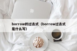 borrow的过去式（borrow过去式是什么写）