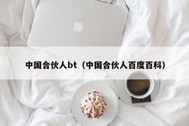 中国合伙人bt（中国合伙人百度百科）