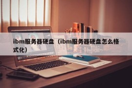 ibm服务器硬盘（ibm服务器硬盘怎么格式化）