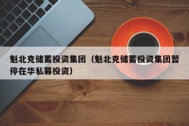 魁北克储蓄投资集团（魁北克储蓄投资集团暂停在华私募投资）