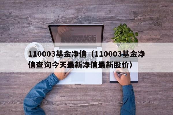 110003基金净值（110003基金净值查询今天最新净值最新股价）