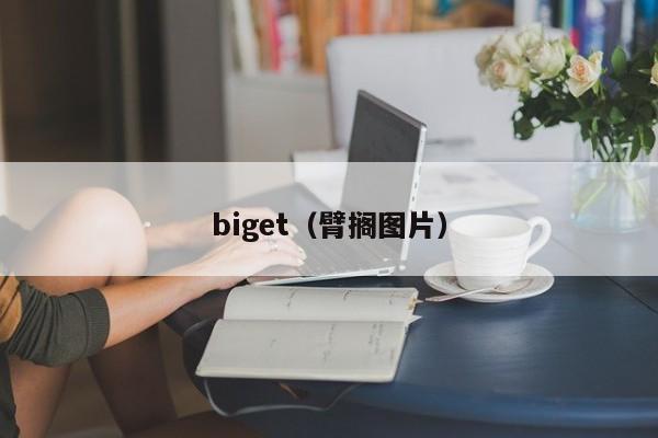 biget（臂搁图片）