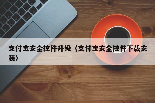 支付宝安全控件升级（支付宝安全控件下载安装）