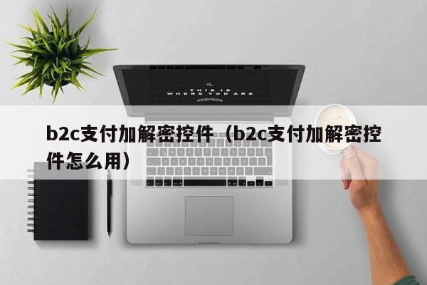 b2c支付加解密控件（b2c支付加解密控件怎么用）