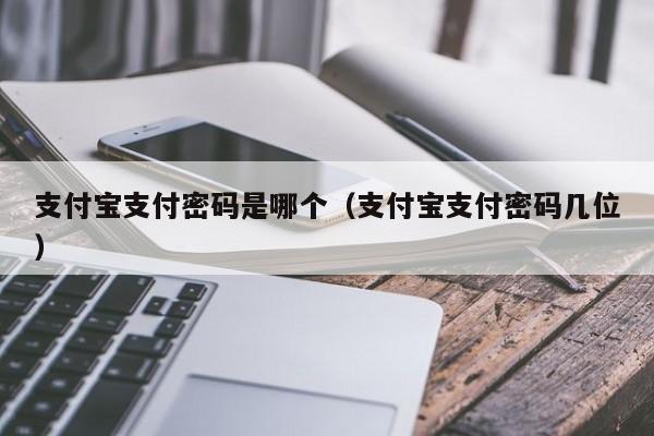 支付宝支付密码是哪个（支付宝支付密码几位）