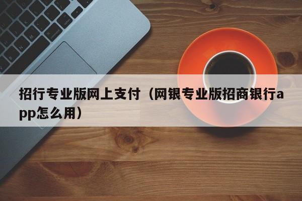 招行专业版网上支付（网银专业版招商银行app怎么用）