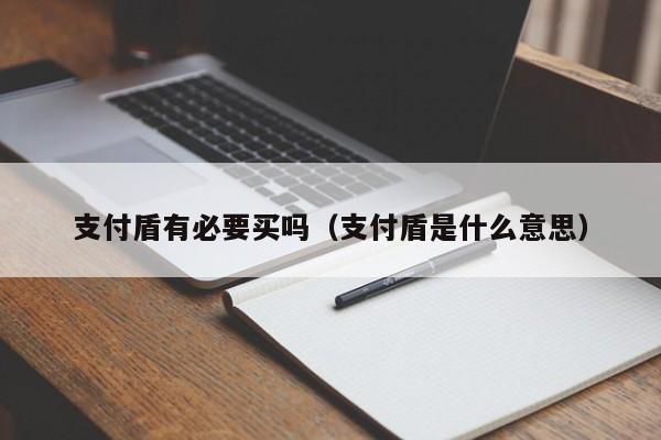 支付盾有必要买吗（支付盾是什么意思）