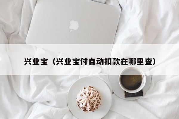 兴业宝（兴业宝付自动扣款在哪里查）