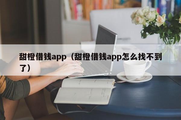 甜橙借钱app（甜橙借钱app怎么找不到了）