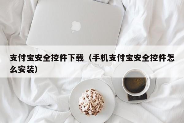 支付宝安全控件下载（手机支付宝安全控件怎么安装）