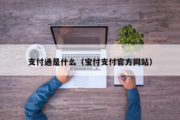 支付通是什么（宝付支付官方网站）