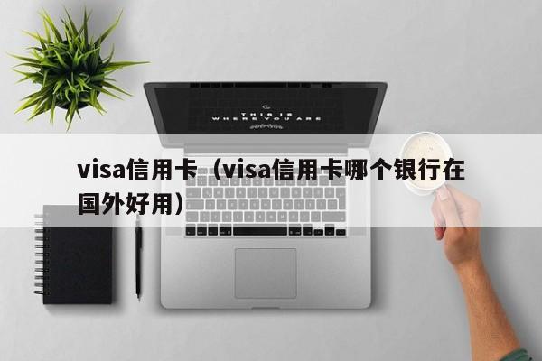 visa信用卡（visa信用卡哪个银行在国外好用）