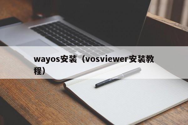 wayos安装（vosviewer安装教程）