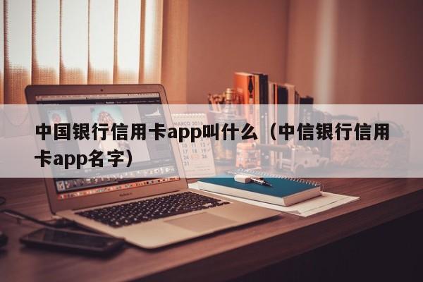 中国银行信用卡app叫什么（中信银行信用卡app名字）