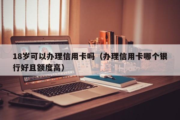 18岁可以办理信用卡吗（办理信用卡哪个银行好且额度高）