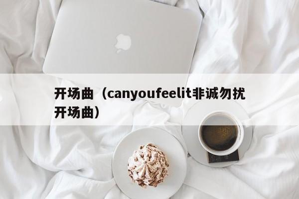 开场曲（canyoufeelit非诚勿扰开场曲）