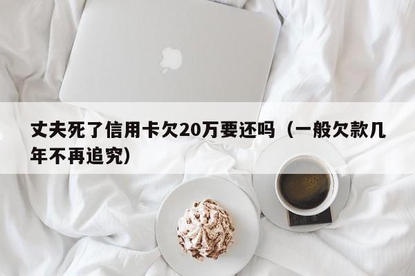 丈夫死了信用卡欠20万要还吗（一般欠款几年不再追究）